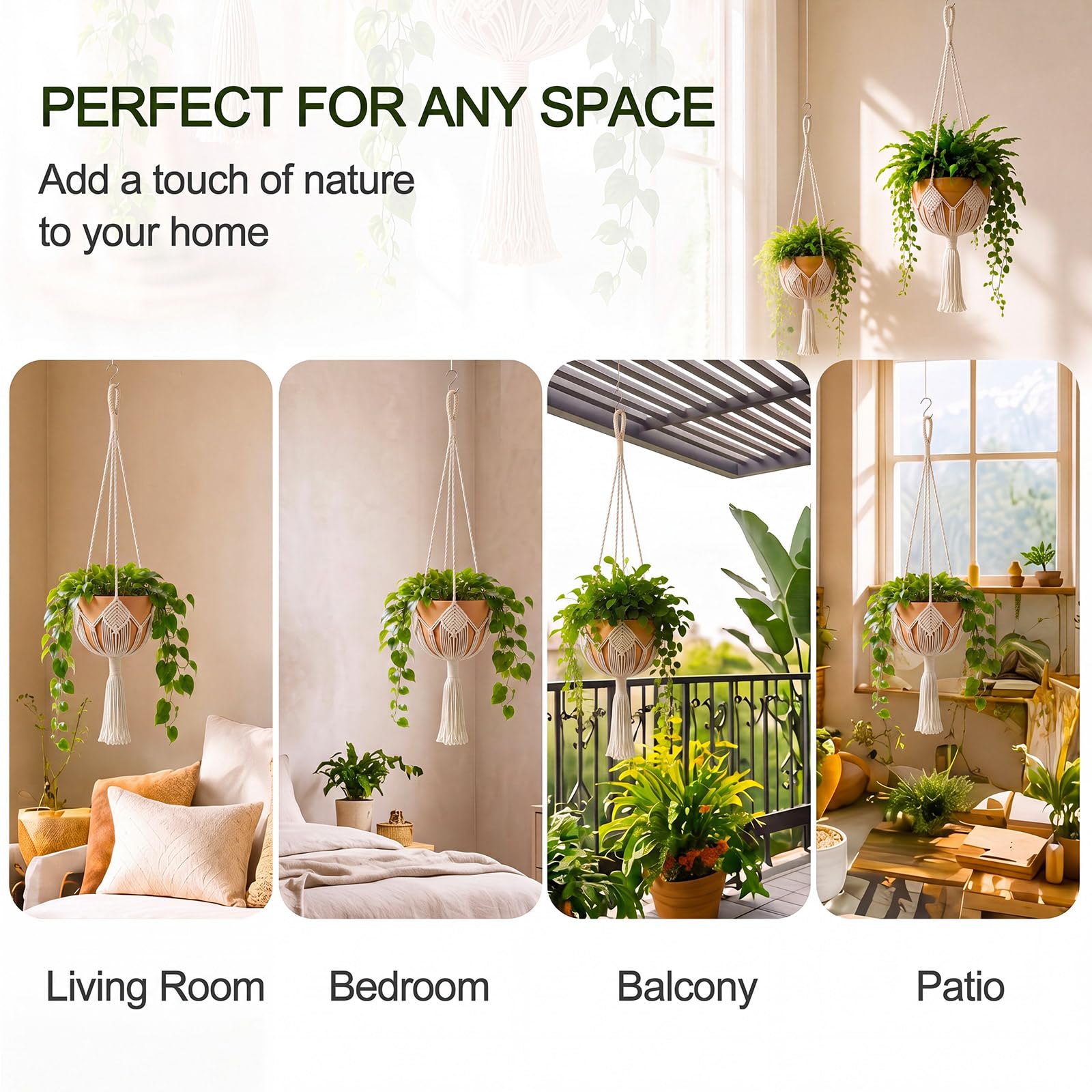 Shappy plant hanger in a modern kitchen setting