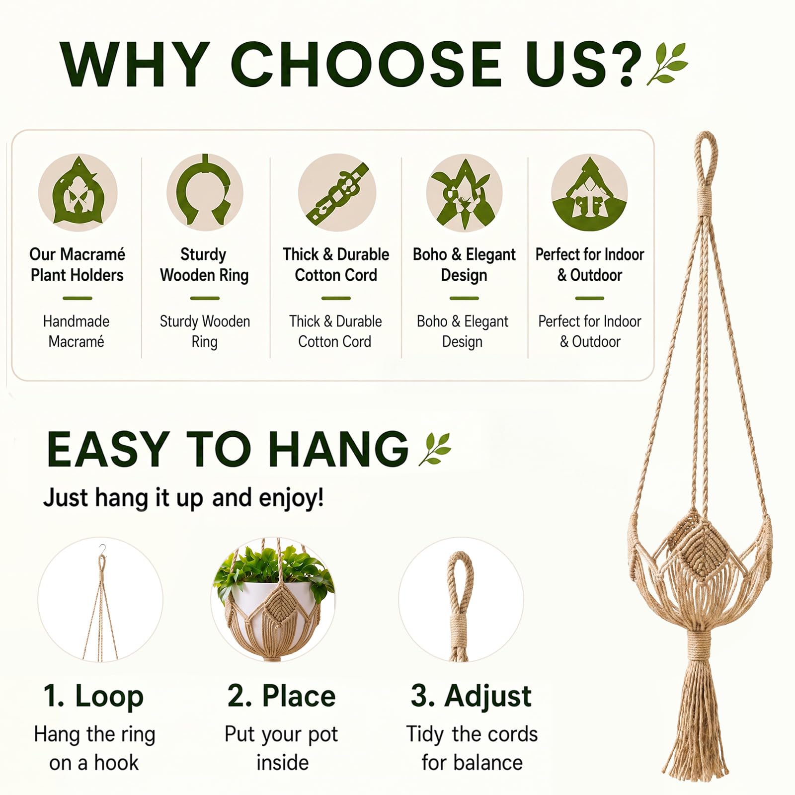 Shappy plant hangers set on a wall with indoor pots