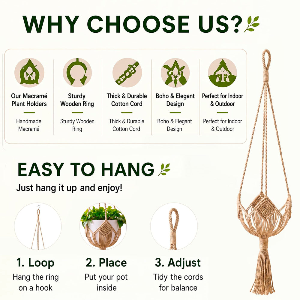 Shappy plant hangers set on a wall with indoor pots