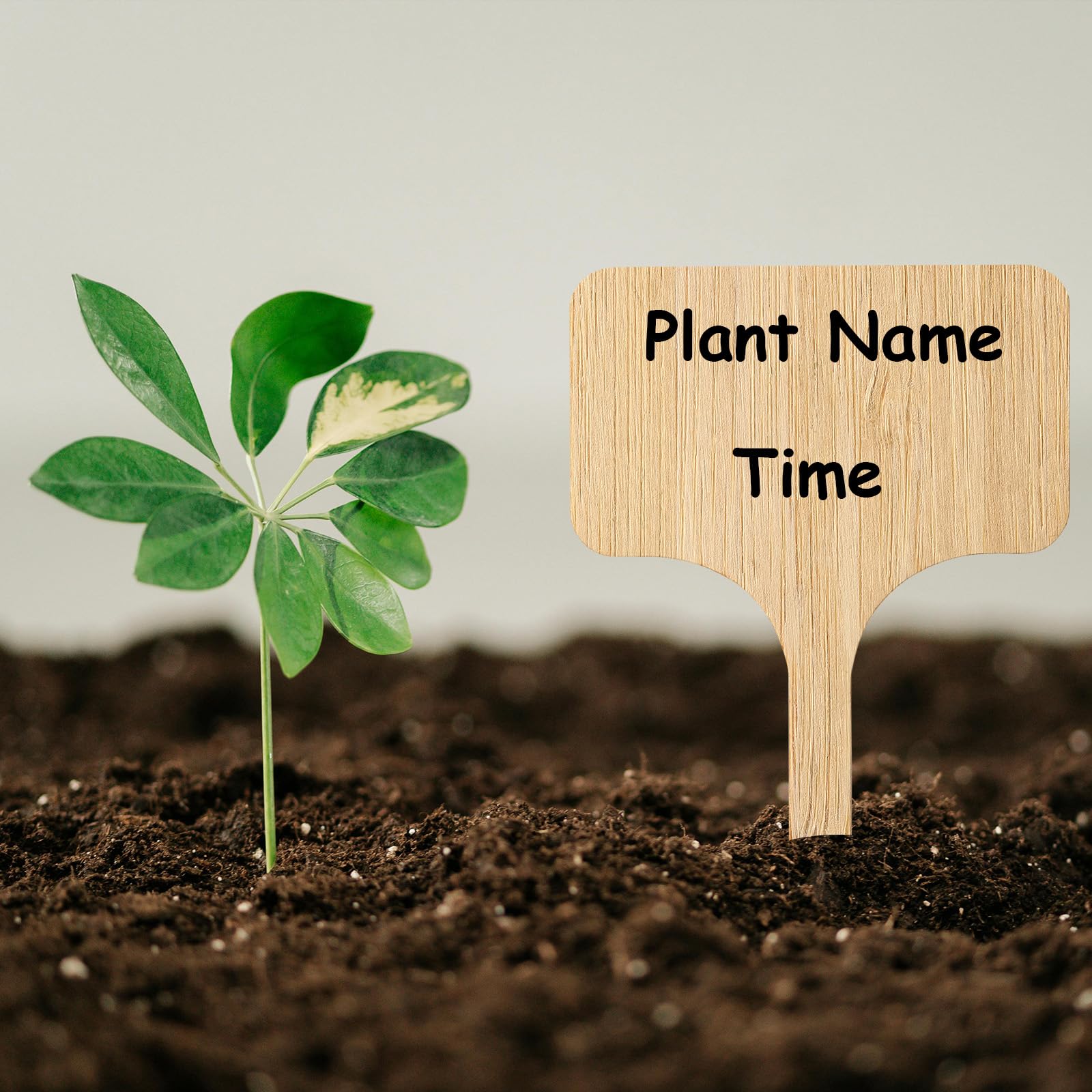 Sharpened tip design of CJFocus Bamboo Plant Labels