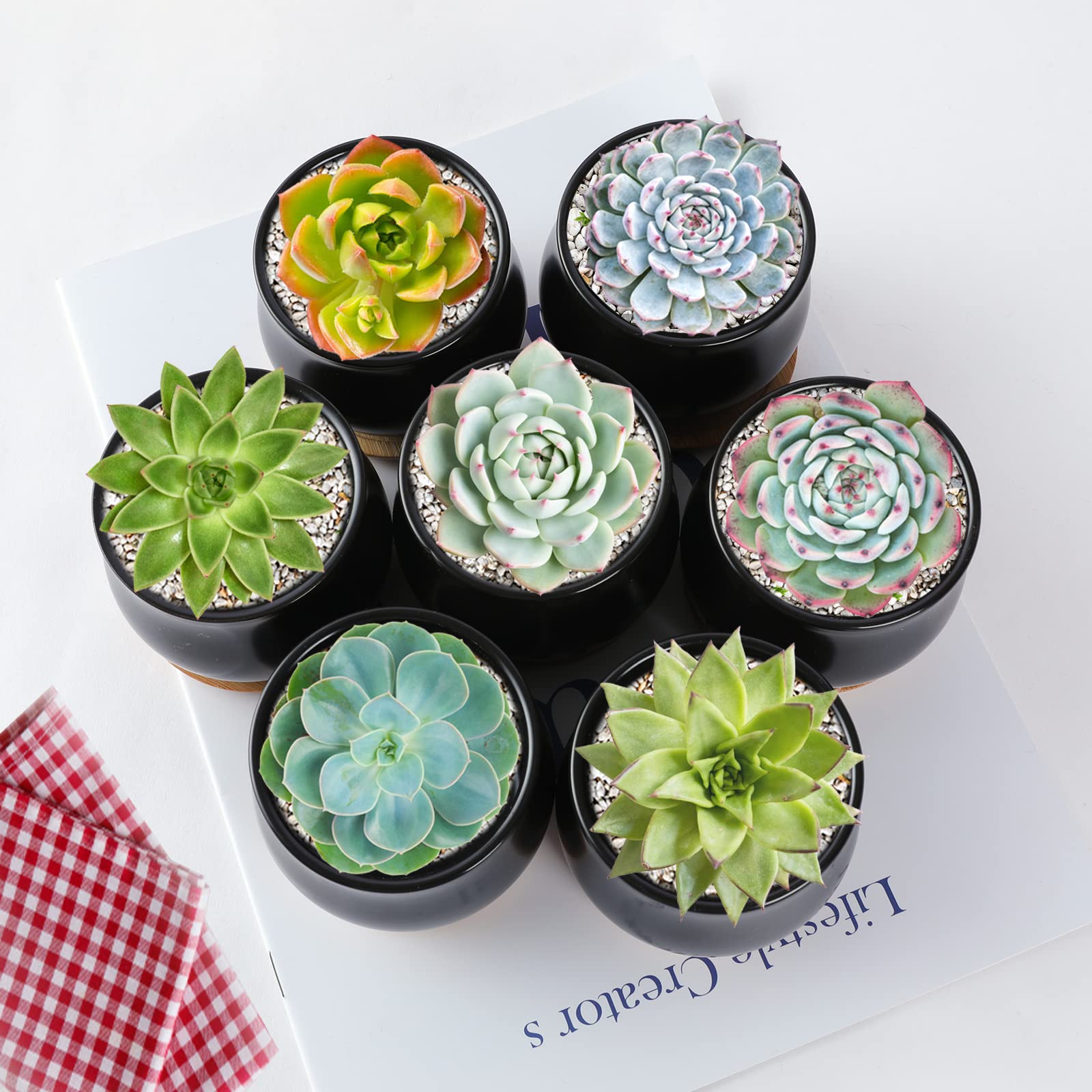 SHECIPIN 2.6 inch ceramic pots with drainage holes