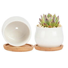 SHECIPIN 2 Pack Mini Ceramic Succulent Pots white front view