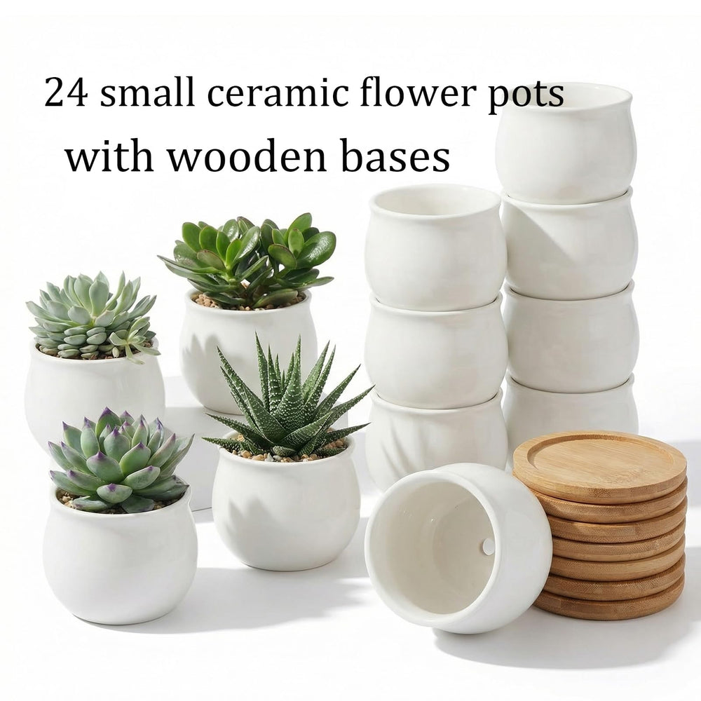 SHECIPIN 24 Pcs small succulent pots packaging view