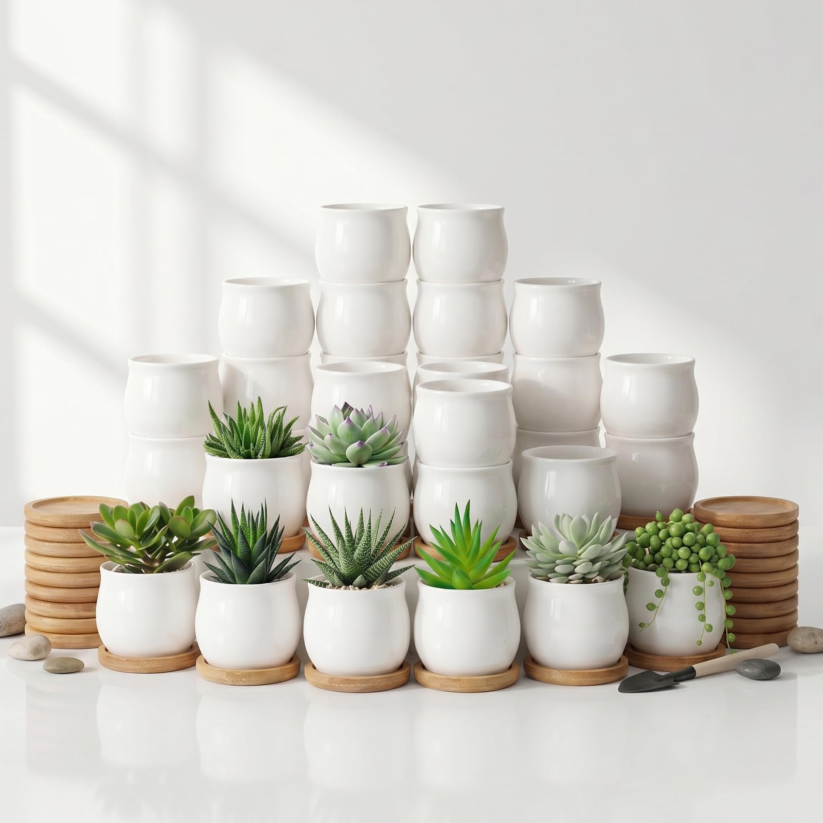 SHECIPIN 24 Pcs small succulent pots with bamboo trays, white color