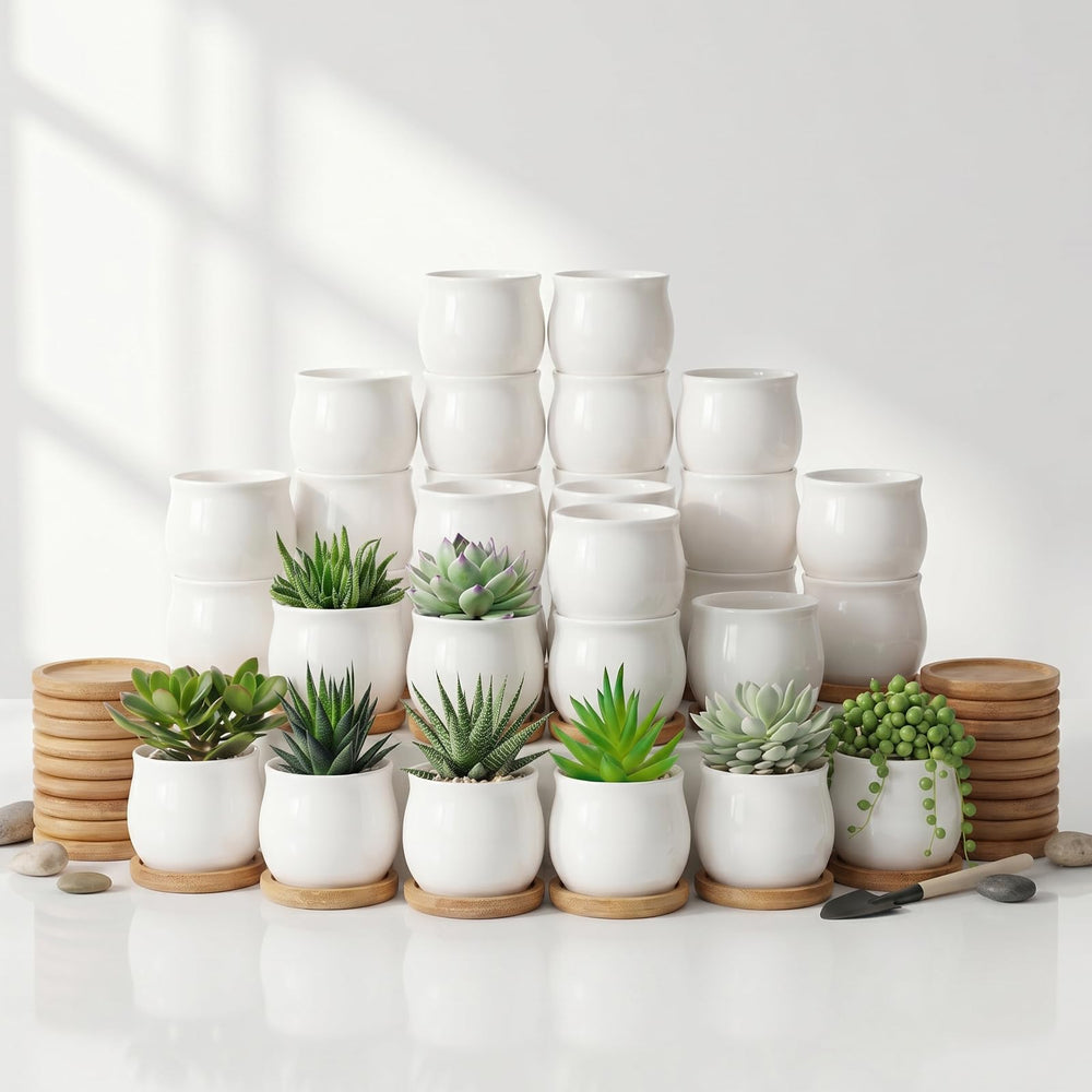 SHECIPIN 24 Pcs small succulent pots with bamboo trays, white color