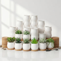 SHECIPIN 24 Pcs small succulent pots with bamboo trays, white color