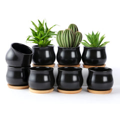 SHECIPIN 8 Pack Mini Ceramic Succulent Pots in matte black