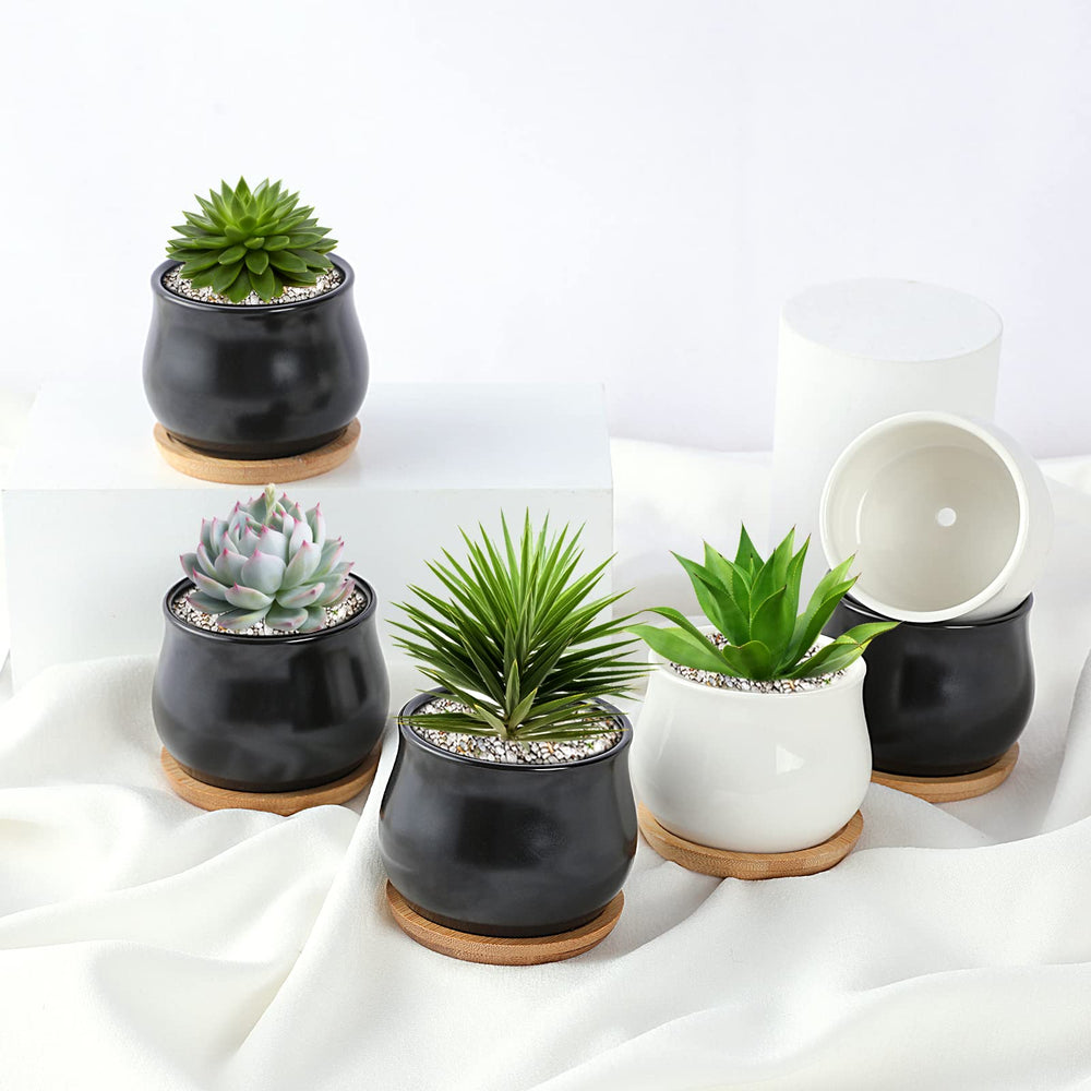 SHECIPIN black ceramic pot with a succulent plant