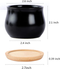SHECIPIN black ceramic succulent pot with drainage hole