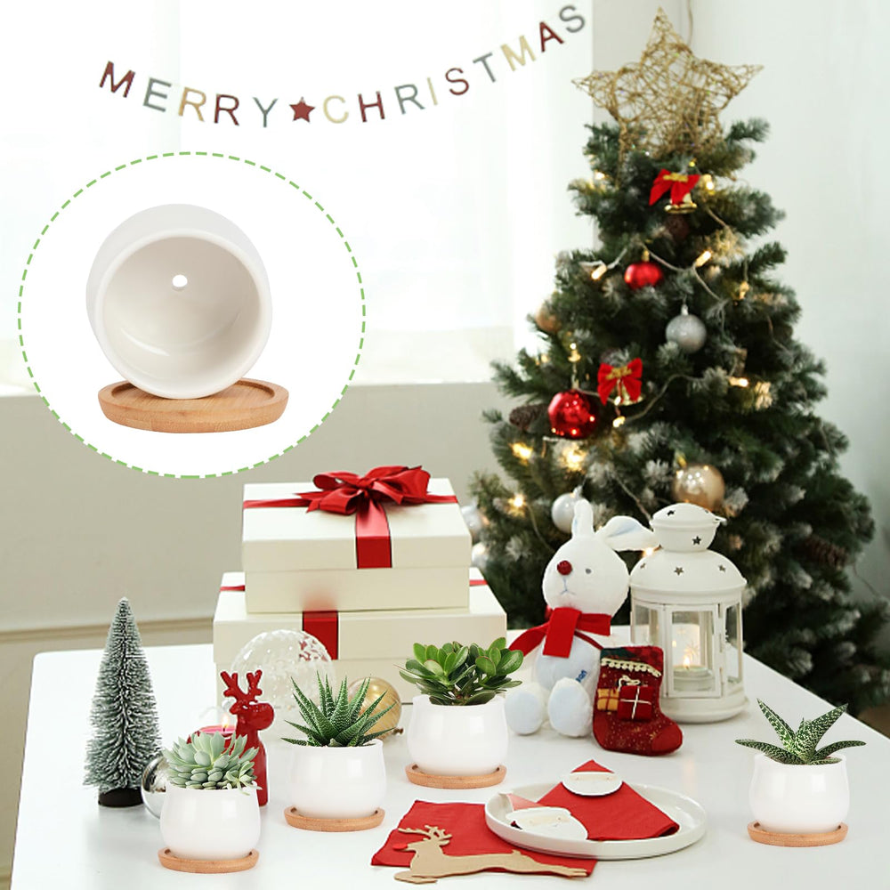 SHECIPIN ceramic pots with modern design on a shelf