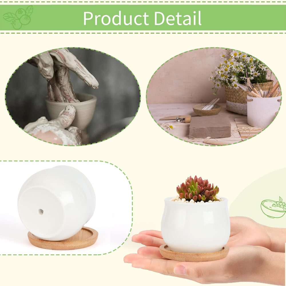 SHECIPIN Mini Ceramic Pots set on a windowsill
