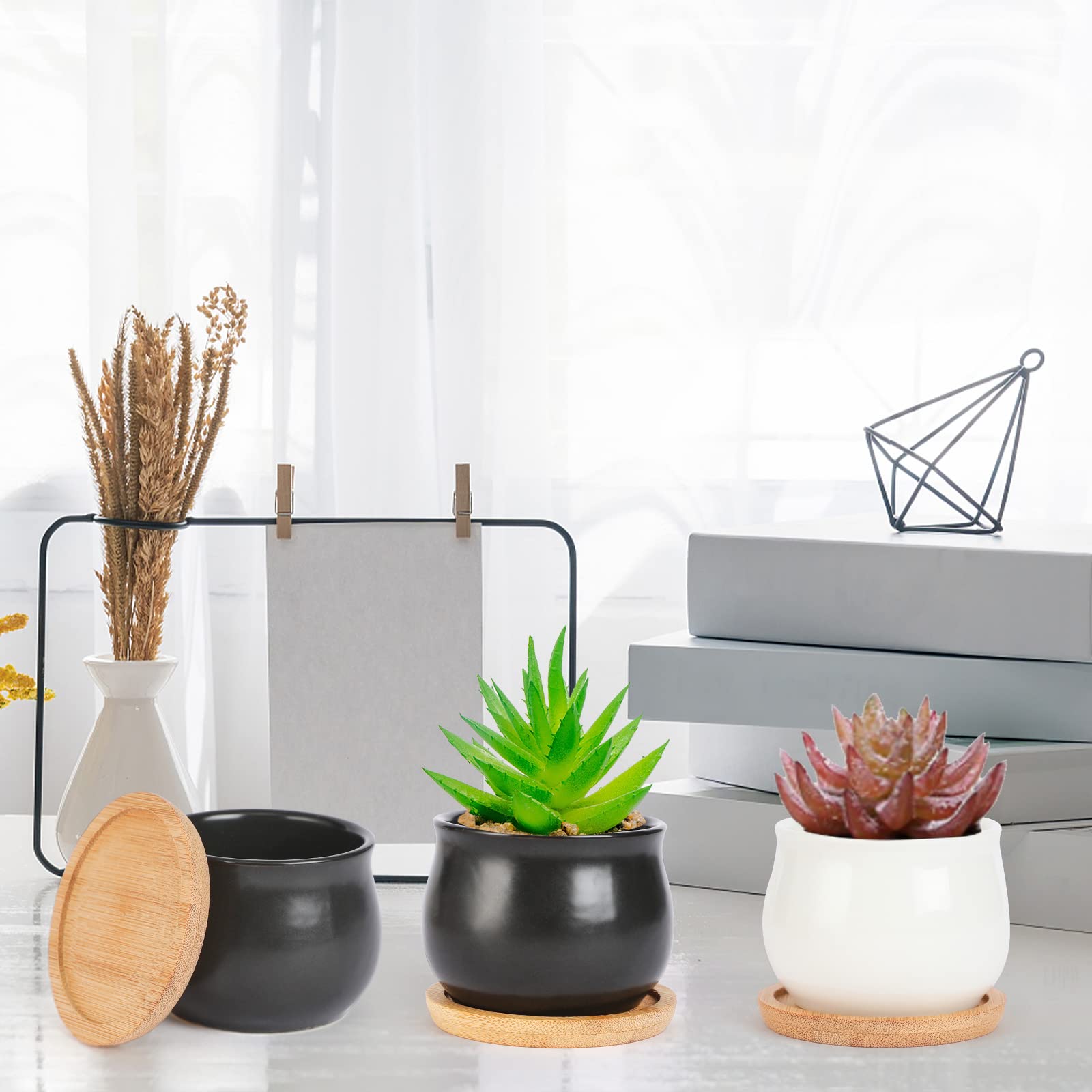 SHECIPIN white ceramic pot with a small herb plant