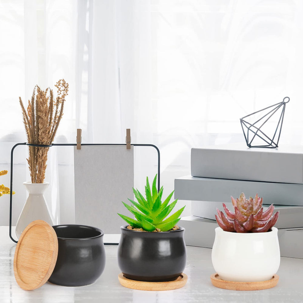 SHECIPIN white ceramic pot with a small herb plant