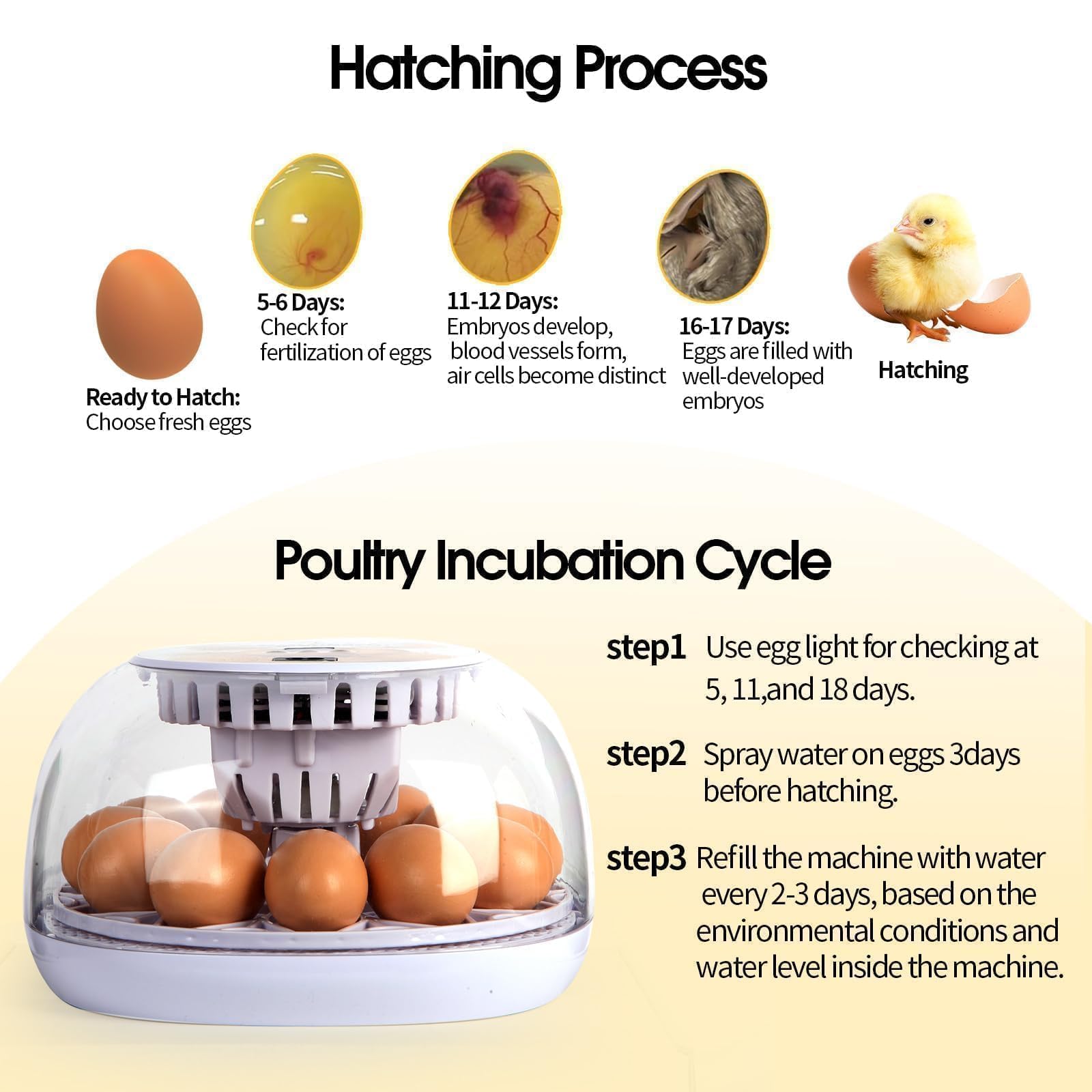 ShellBr8ker Nest I incubator with eggs inside