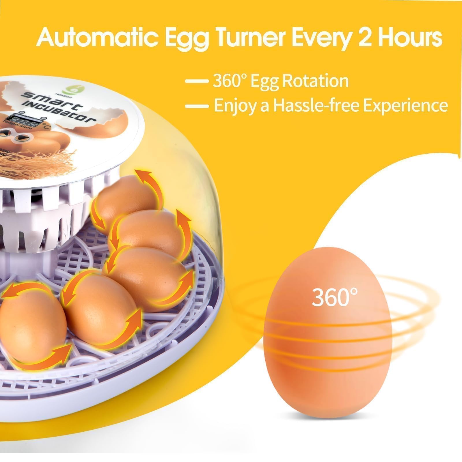 ShellBr8ker Nest I incubator with transparent lid