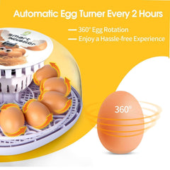 ShellBr8ker Nest I incubator with transparent lid