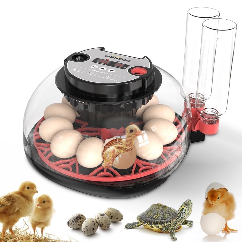 ShellBr8ker Nest II 12 Egg Incubator front view