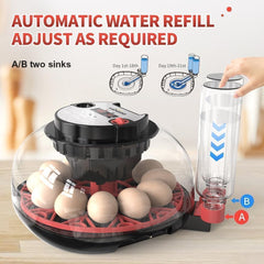 ShellBr8ker Nest II with transparent lid and eggs inside