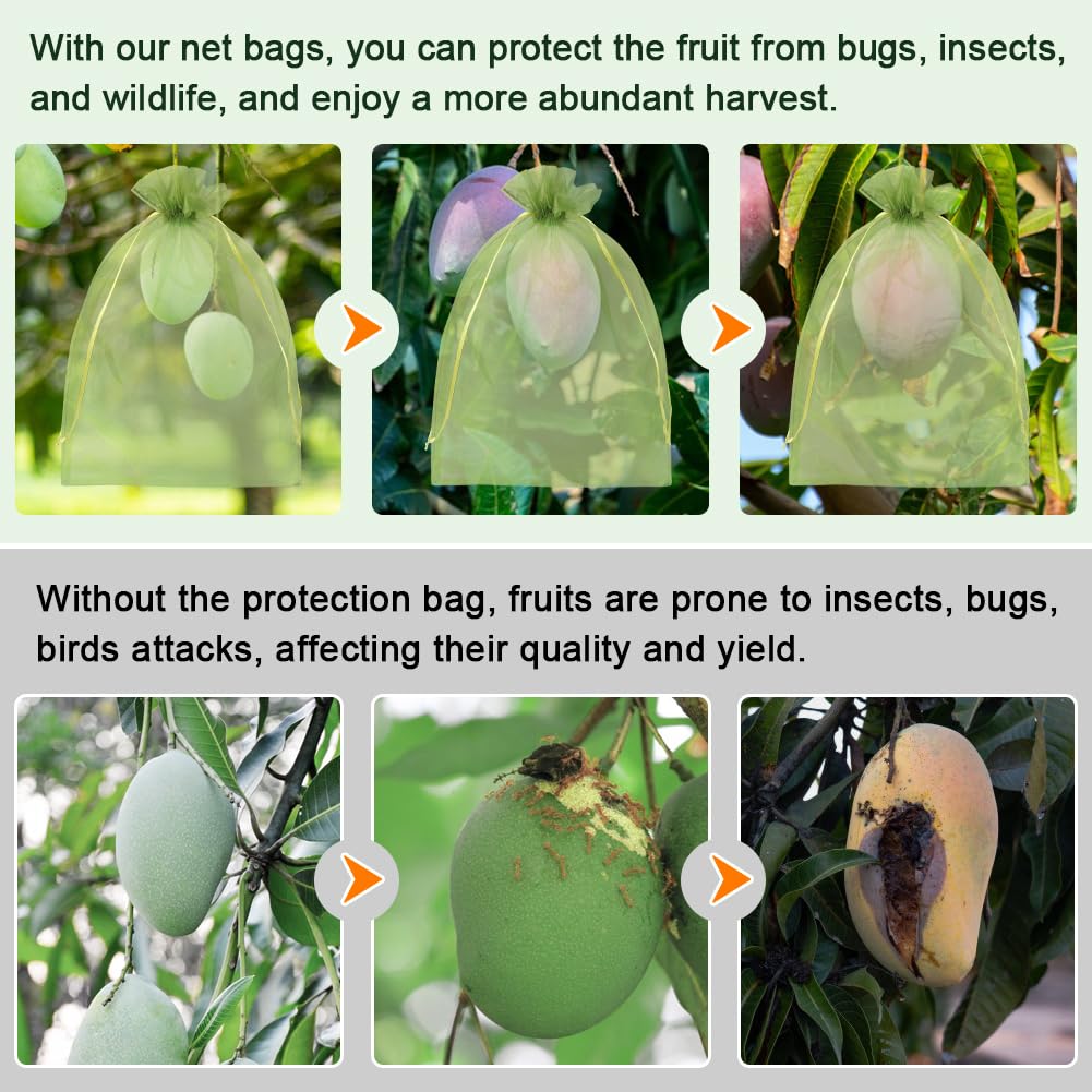 Shintop fruit protection bag covering grapes on a vine