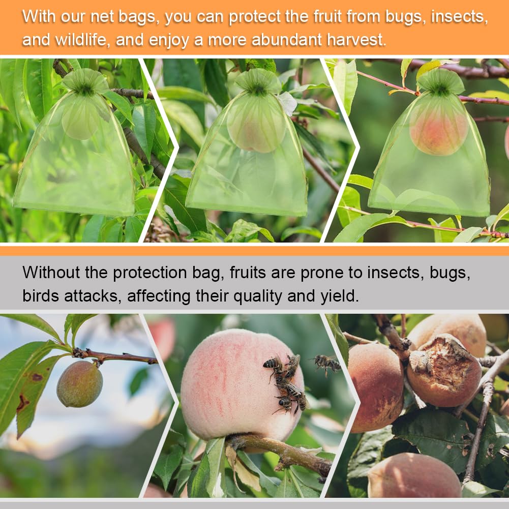 Shintop fruit protection bag showing spacious interior for fruits
