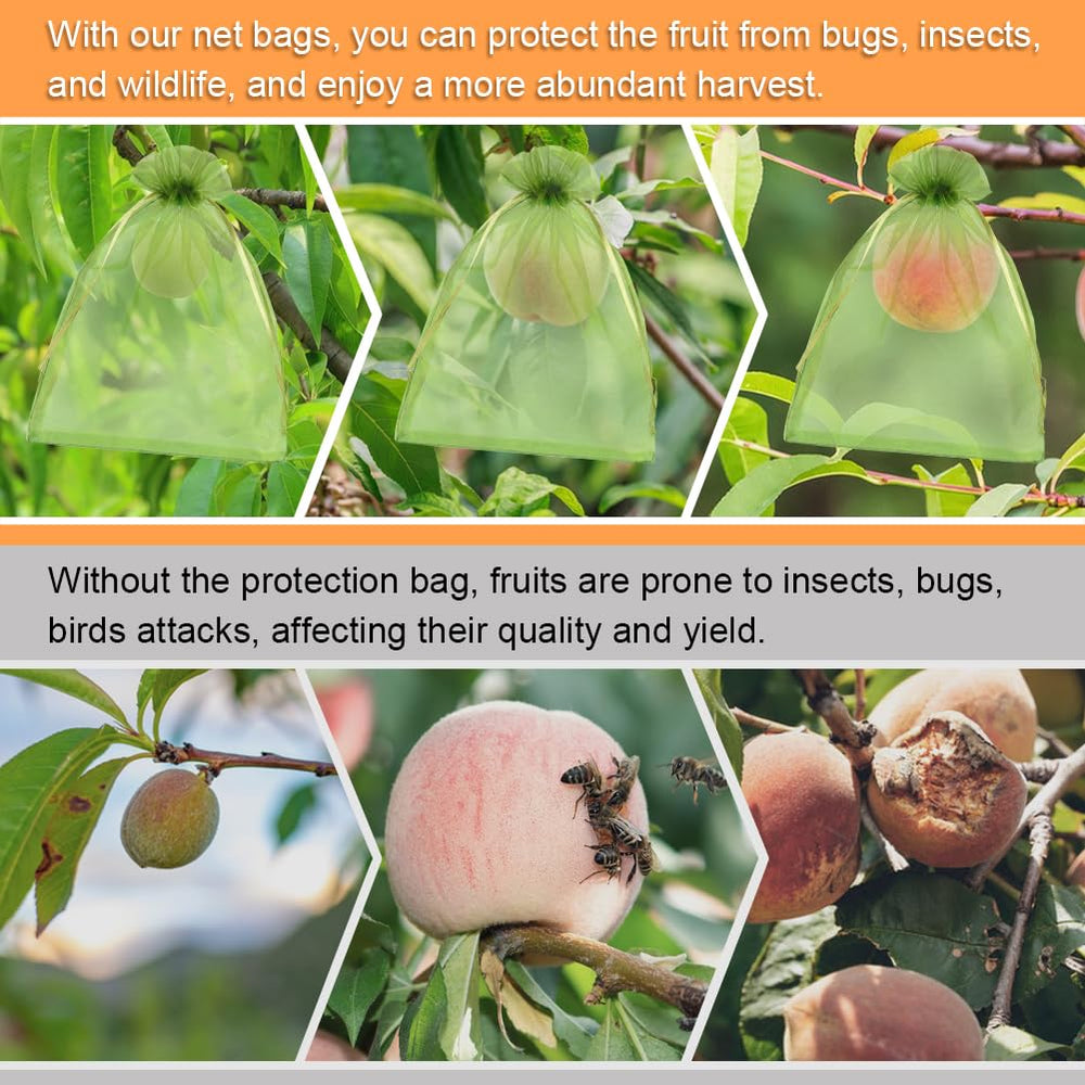 Shintop fruit protection bag showing spacious interior for fruits