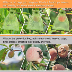 Shintop fruit protection bag showing spacious interior for fruits