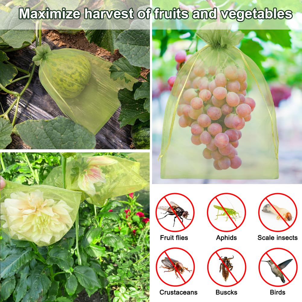 Shintop fruit protection bags displayed in garden setting