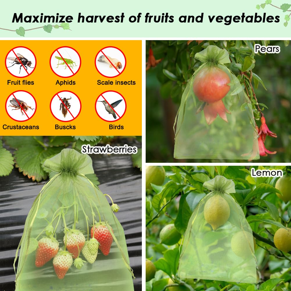 Shintop fruit protection bags in a garden setting