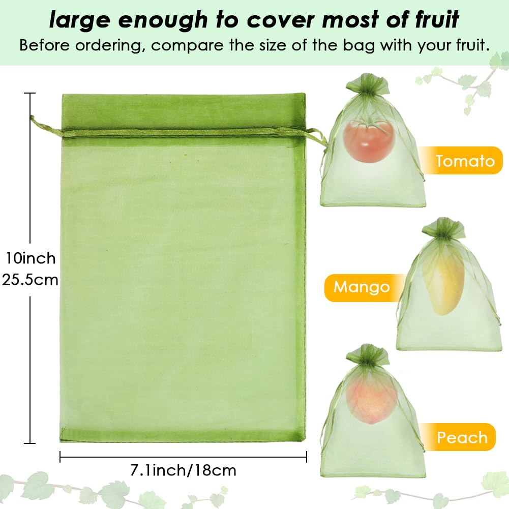 Shintop fruit protection bags in use on fruit trees