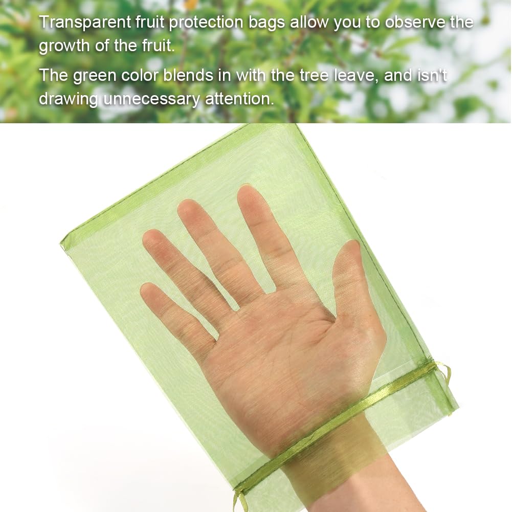 Shintop pack of 100 fruit bags displayed with fruits
