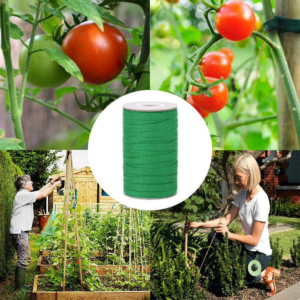 Shintop Plant Ties tied around climbing beans
