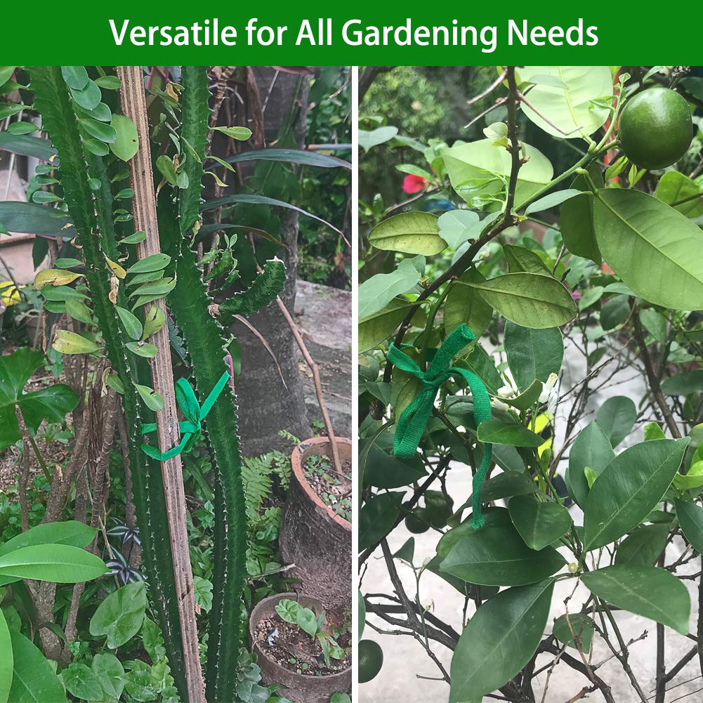 Shintop Plant Ties used to support tomato plants