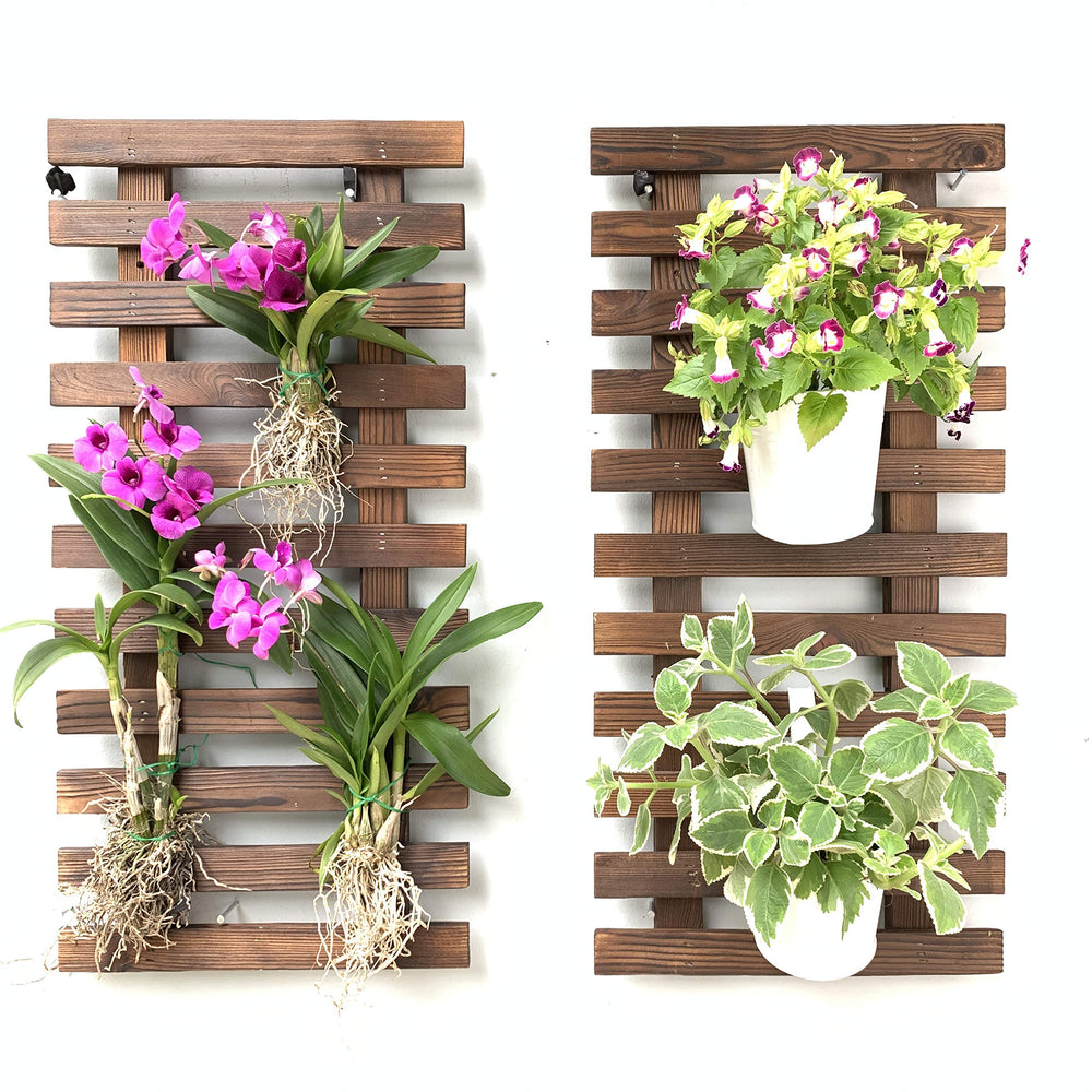 ShopLaLa Wall Planters 60cm dark brown wood front view
