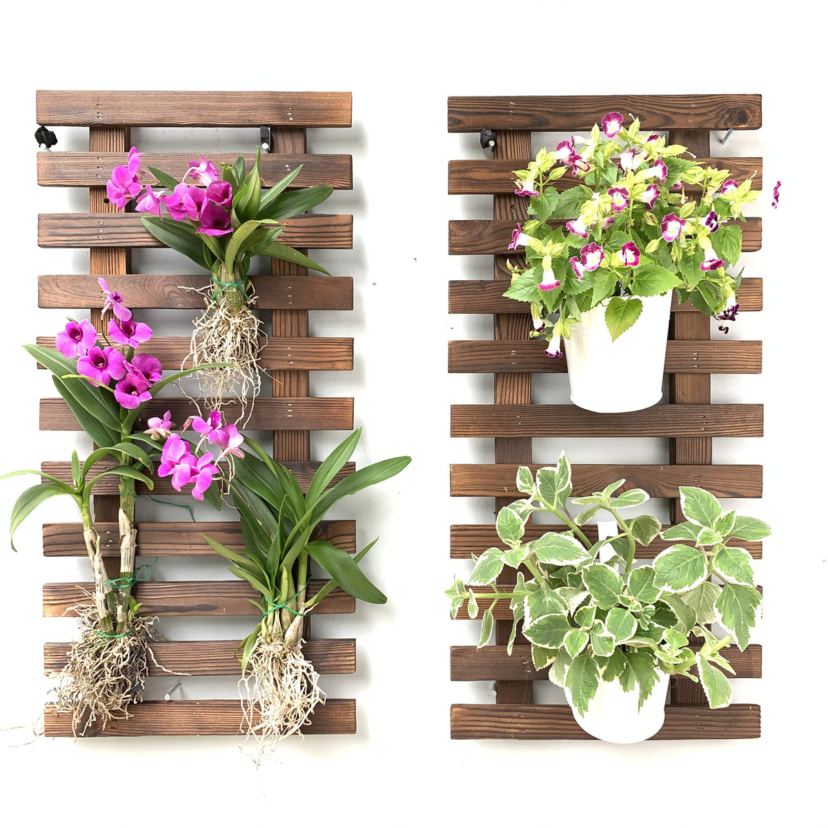 ShopLaLa Wall Planters 60cm dark brown wood front view