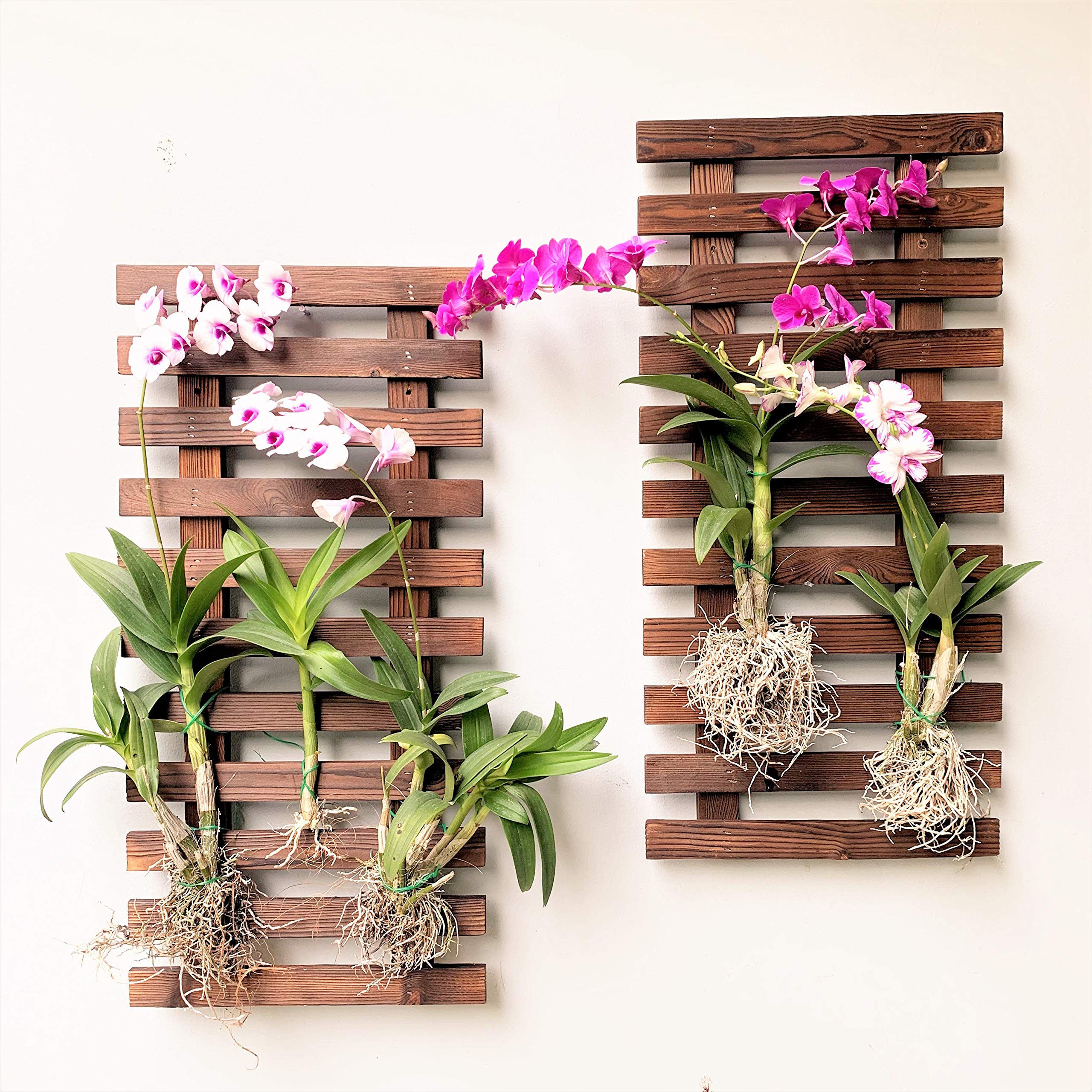 ShopLaLa Wall Planters 60cm dark brown wood with flowers