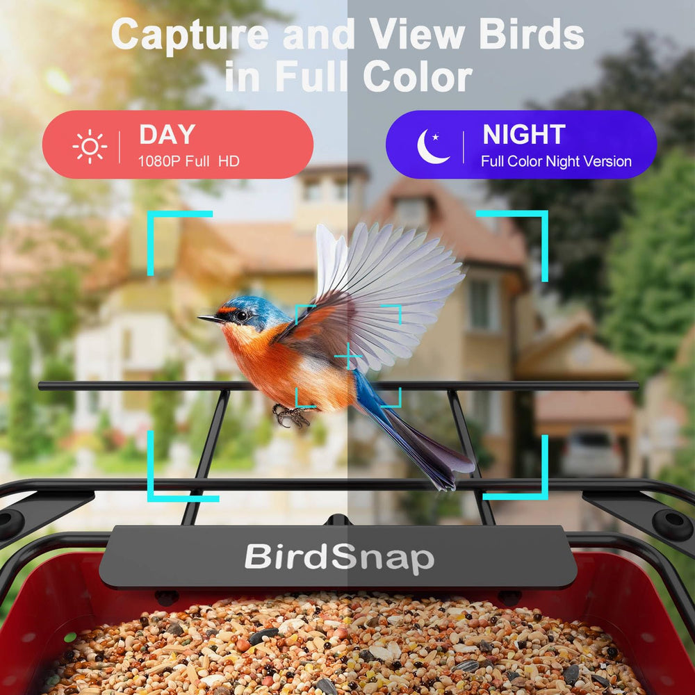 showing video captured by birdsnap APS Metal Bird Feeder