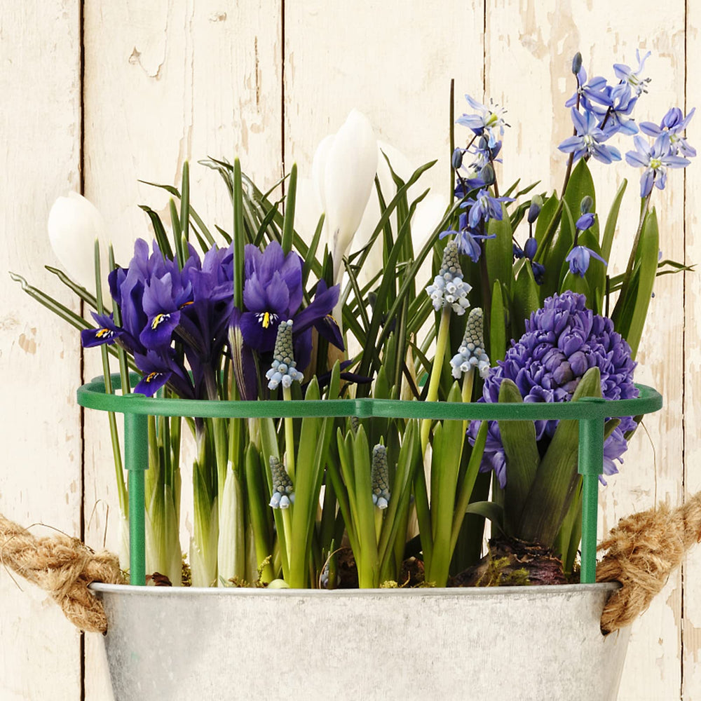 SIBRANT plant support stakes with various plants, including tomato and monstera