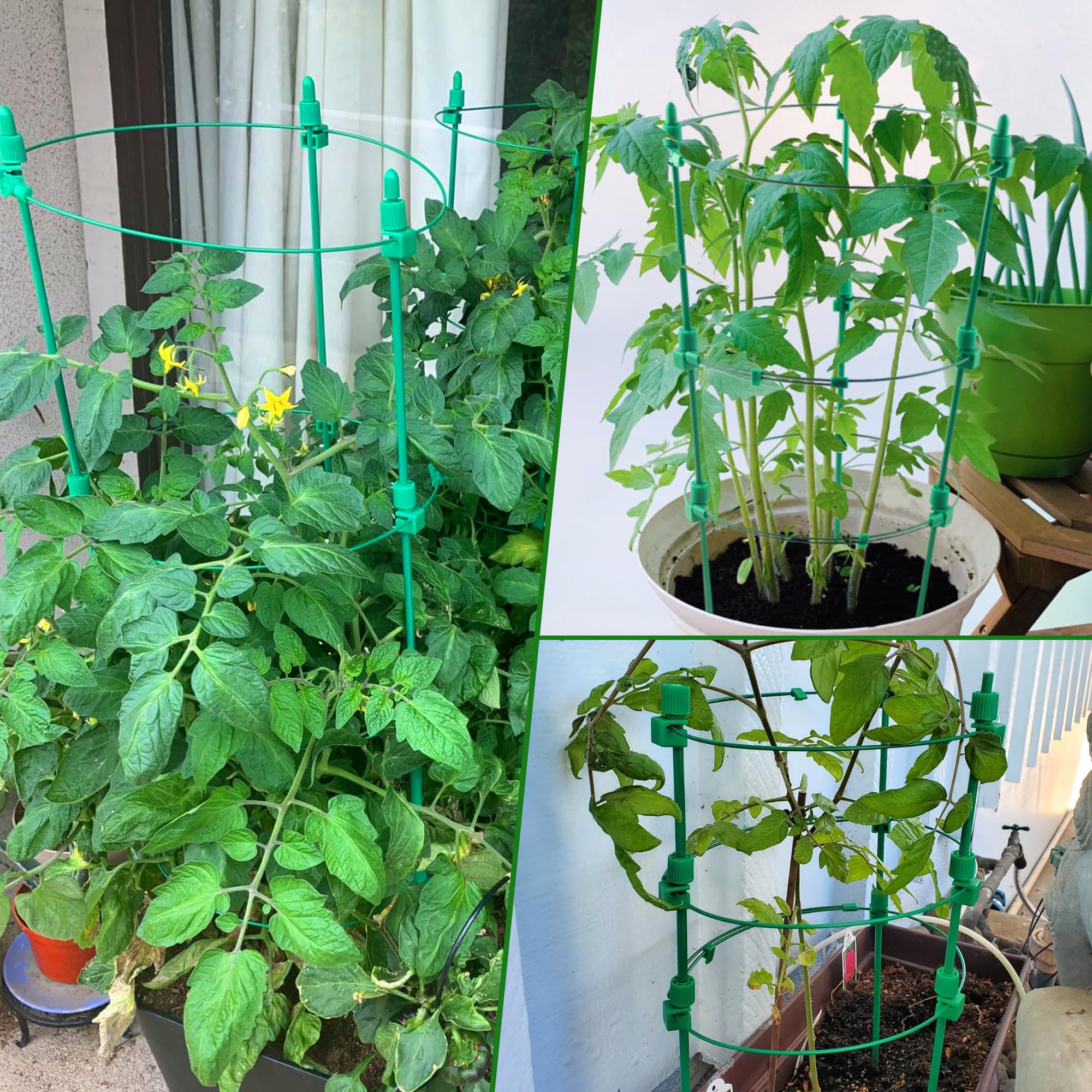 Side view of Anothera tomato cage with detailed construction material