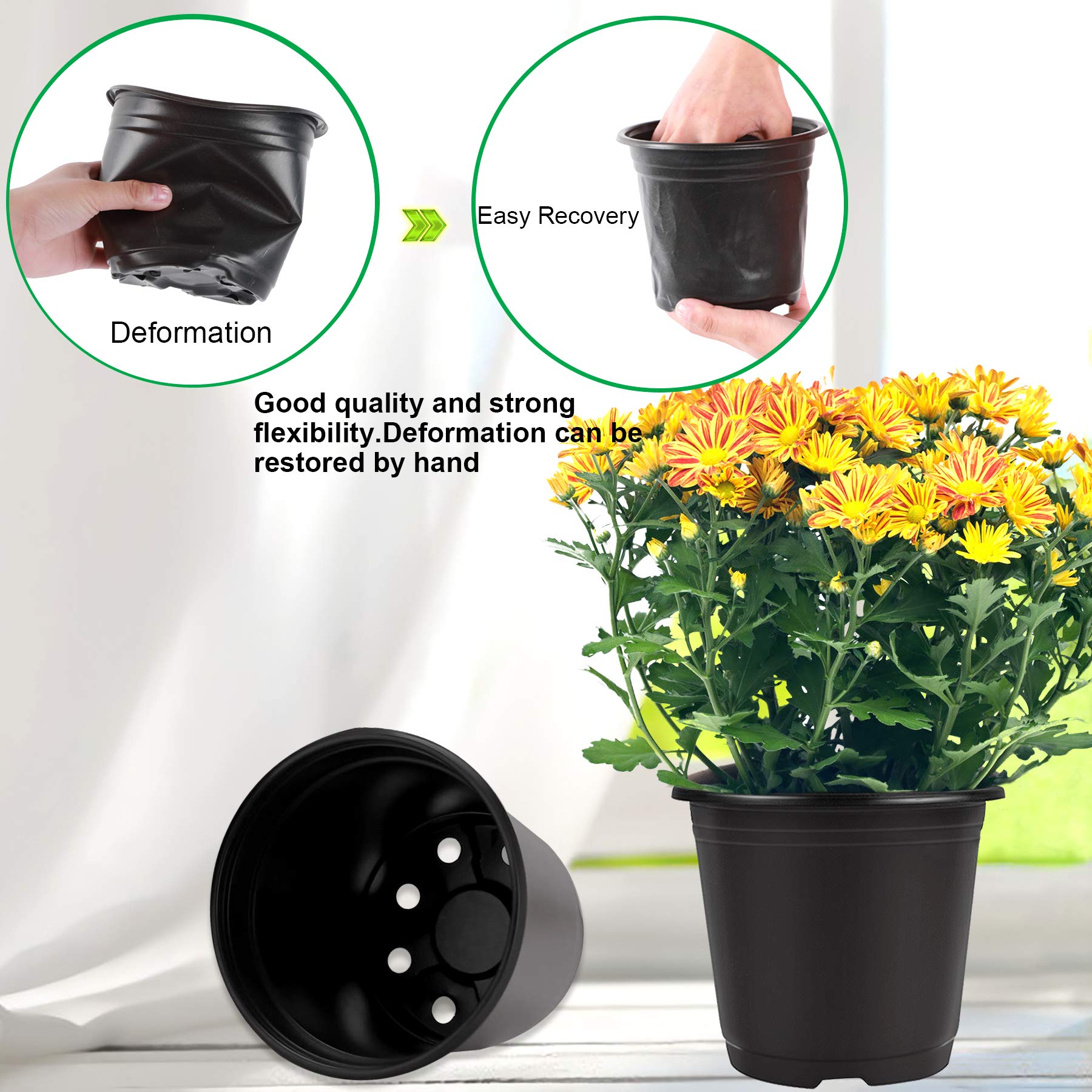 Side view of Augshy plastic nursery pot showing depth