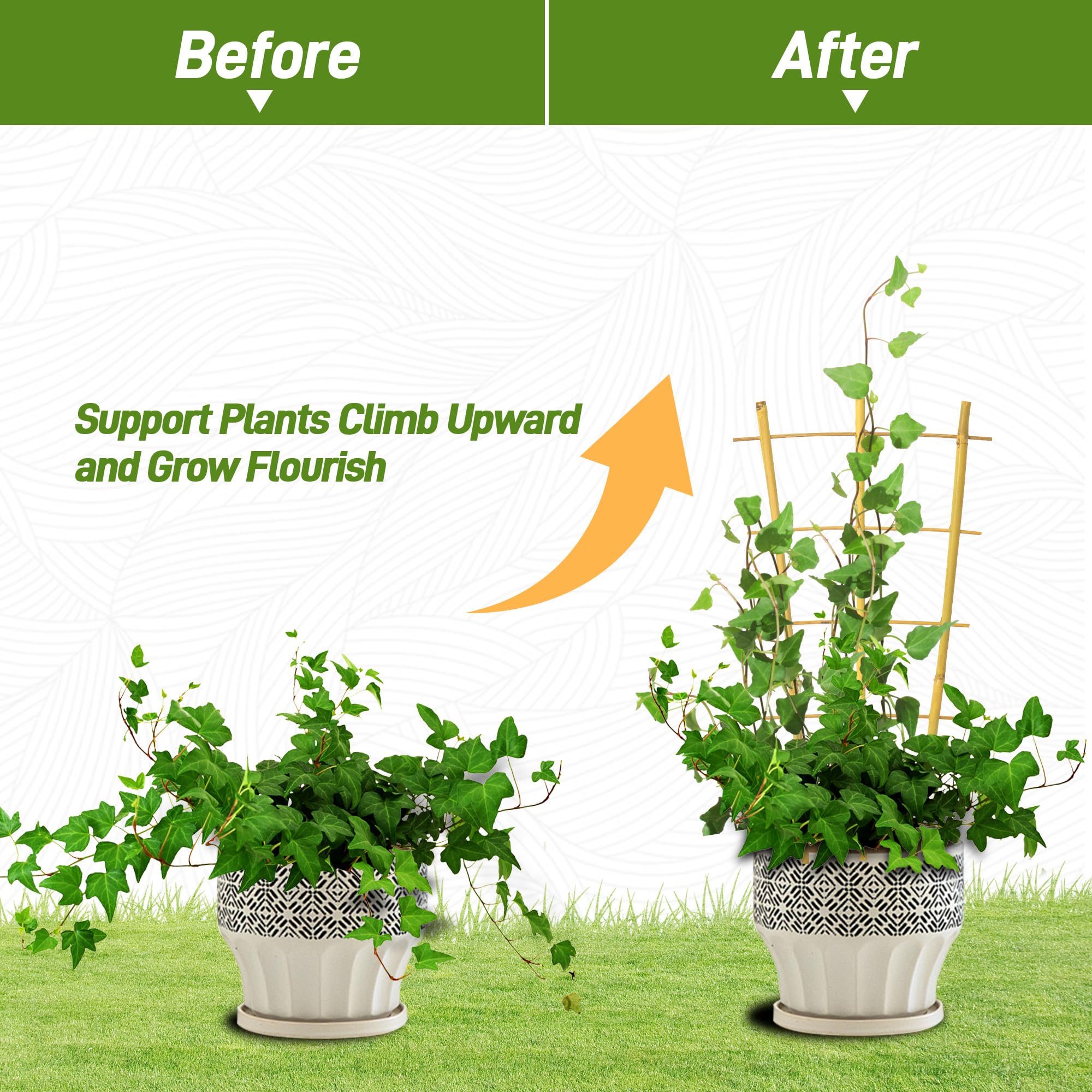 Side view of Avalution Bamboo Trellis demonstrating its support structure