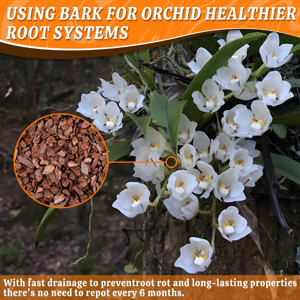 Side view of Avalution Orchid Potting Bark package