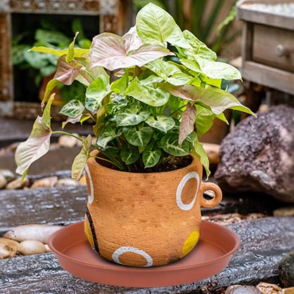 Side view of Bleuhome 12-inch plant saucer