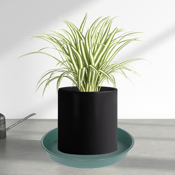 Side view of Bleuhome 6 inch plant saucer showing depth