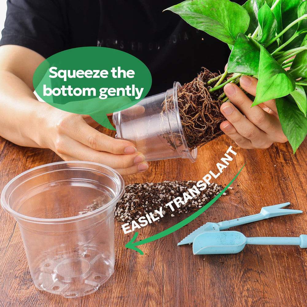Side view of Bluepro clear nursery pot showing drainage holes