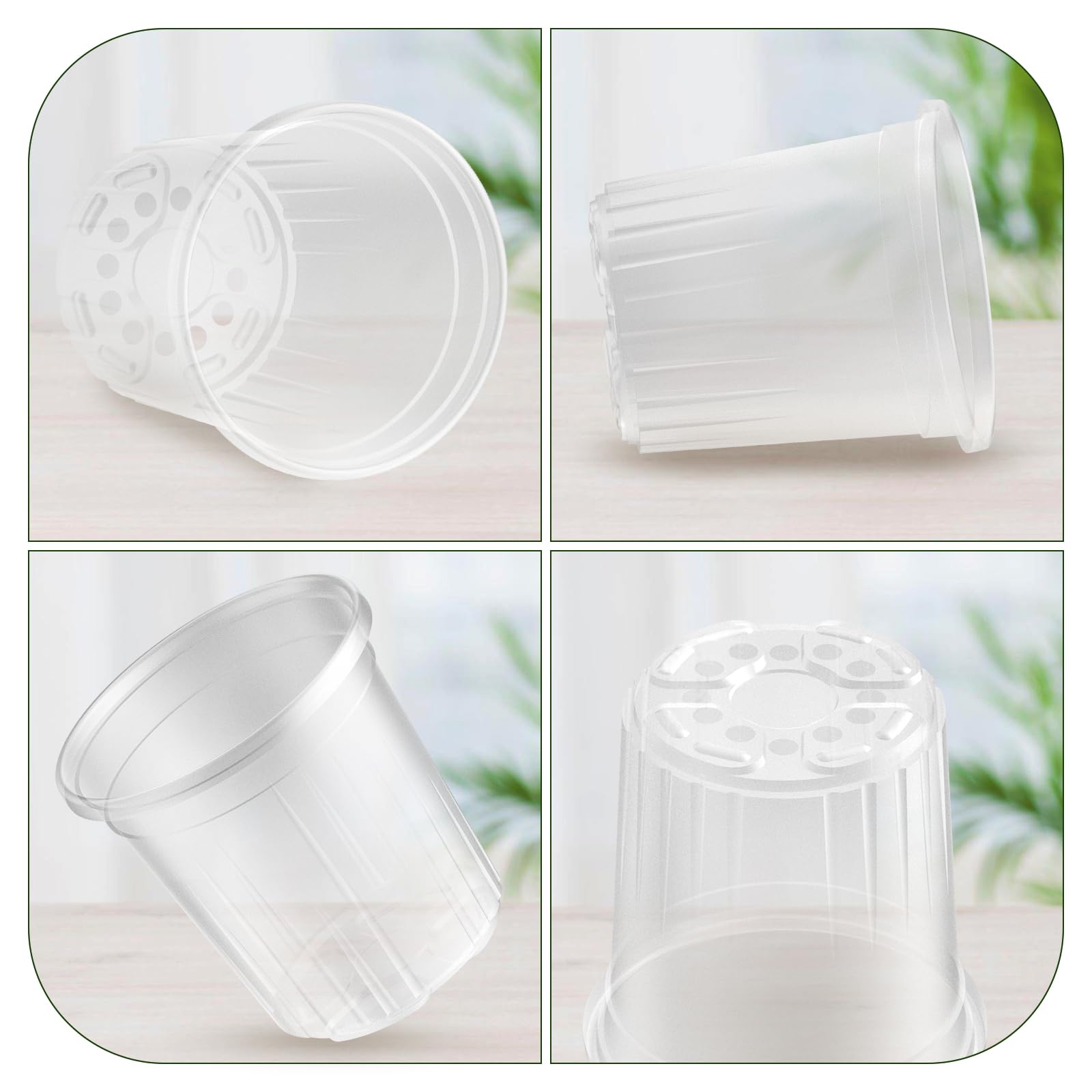 Side view of Bluepro clear nursery pot with seedling