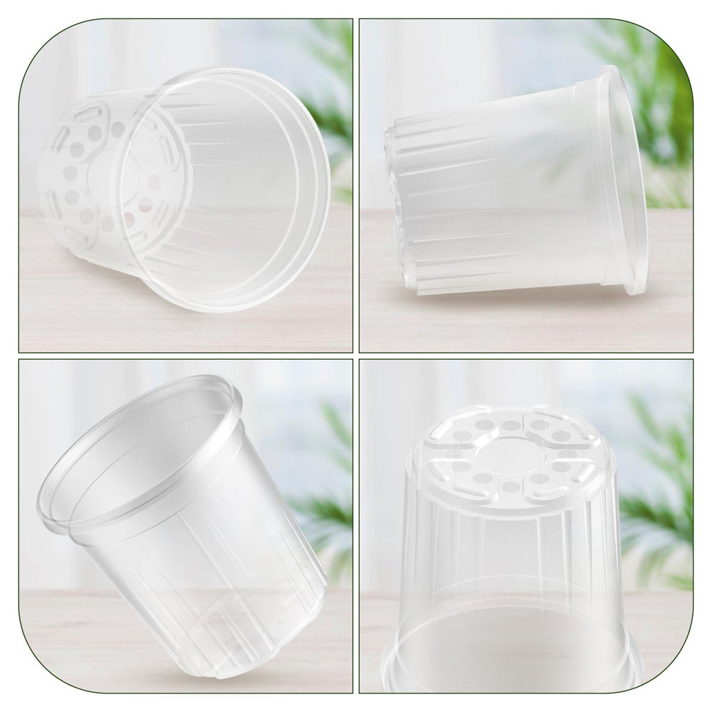 Side view of Bluepro clear nursery pot with seedling
