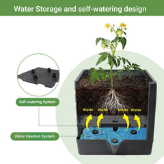 Side view of BOTINDO Tomato Planter with climbing plants