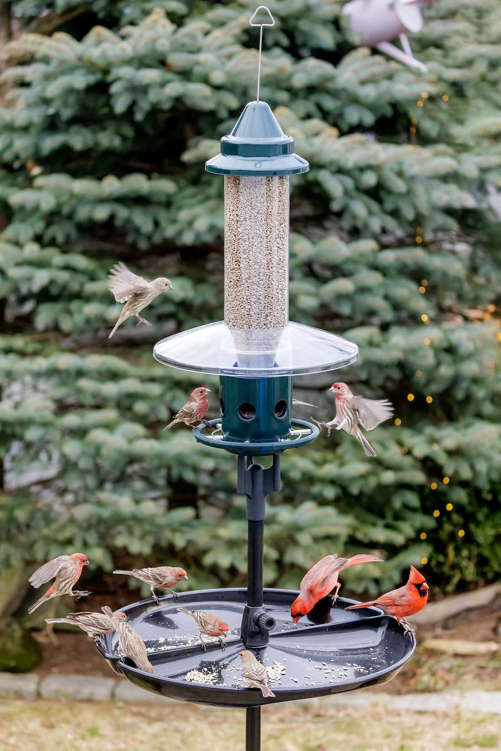 Side view of Brome Squirrel Buster Plus Bird Feeder