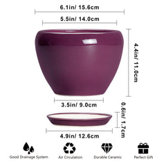 Side view of Ceramicfor 6 Inch Purple Plant Pot