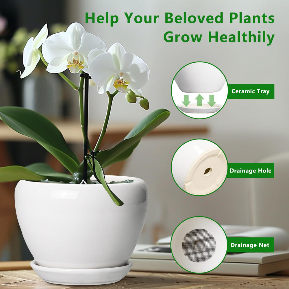 Side view of Ceramicfor ceramic pot for plants